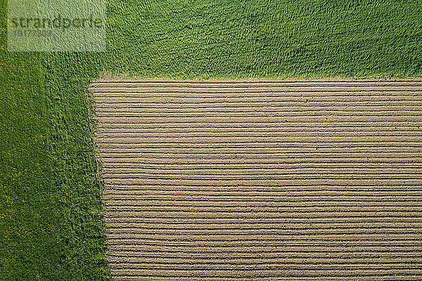 Austria  Upper Austria  Hausruckviertel  Drone view of plowed field