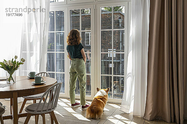Junge Frau und walisischer Corgi-Hund schauen durch das Fenster