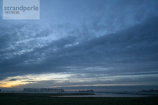 Sonnenaufgang mit Wolkenhimmel  NSG Bislicher Insel  Niederrhein  Nordrhein-Westfalen  Deutschland  Europa