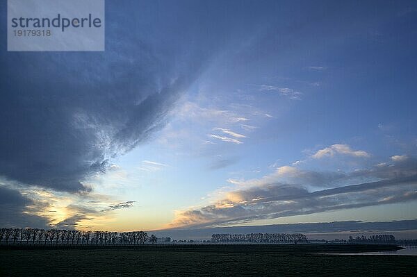 Sonnenaufgang mit Wolkenhimmel  NSG Bislicher Insel  Niederrhein  Nordrhein-Westfalen  Deutschland  Europa