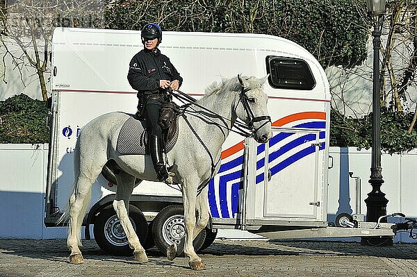 Belgische berittene Polizei und Pferdeanhänger in Brüssel  Belgien  Europa