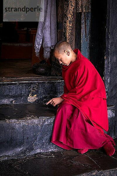 Junger Mönch aus dem Spituk Kloster (Gompa)  Ladakh  Indien  Asien