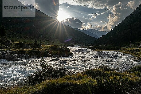 Gegenlicht  Abendlicht  Gebirgsfluss umgeben von Latschenkiefern in den Zillertaler Alpen  Österreich  Europa