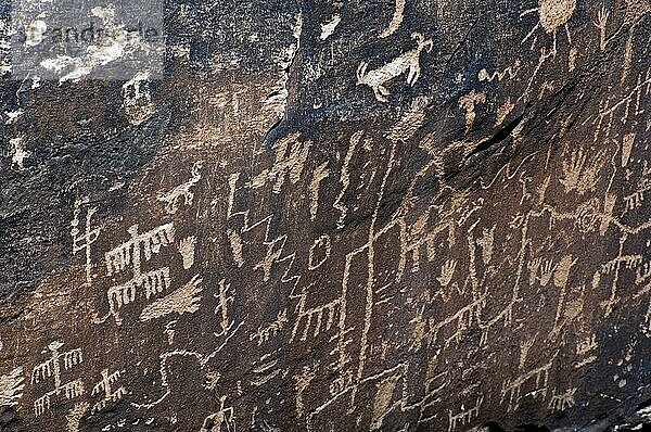 Newspaper Rock mit Petroglyphen der Anasazi Indianer im Petrified Forest National Park  Arizona  USA  Nordamerika