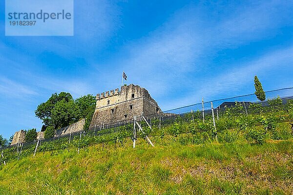 Schloss und Weinberg an einem sonnigen Sommertag in Morcote  Tessin  Schweiz  Europa
