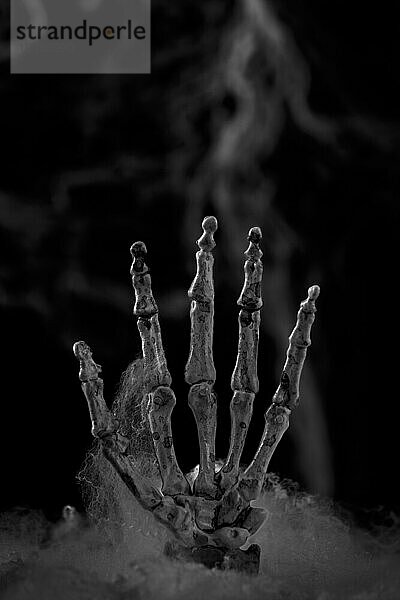 Skeletthand vor künstlichen Spinnweben  Schwarzweiß  Kopierraum  Halloween