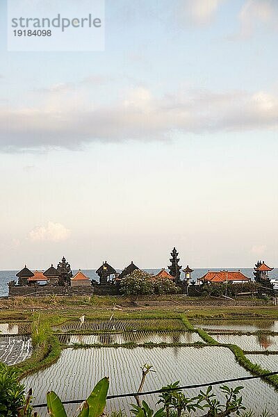 Tolle frische Reisterassen mit Wasser am Morgen. Blick über fisches grün auf einen Hindutempel am Morgen. Landschaftsaufnahme am einer Tropischen Insel in Asien. Sanur  Bali  Indonesien  Asien