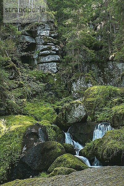 Lohnbachfall mit wenig Wasser und Felsen dahinter  Lohn  Niederösterreich  Österreich  Wasserfall  Moos  Europa