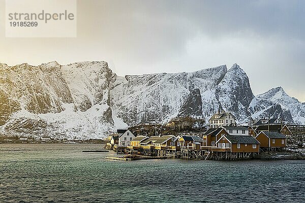 Traditionelle gelbe Rorbuer Hütten auf der Insel Sakrisøy  hinten schneebedeckte felsige Berge  Sakrisoy  Reine  Lofoten  Norwegen  Europa