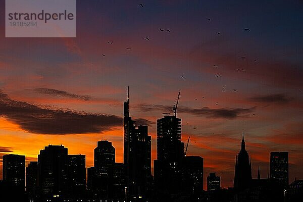 Die Silhouette der Frankfurter Bankenskyline zeichnet sich am Abend nach Sonnenuntergang gegen den leuchtenden Abendhimmel ab.  Frankfurt am Main  Hessen  Deutschland  Europa