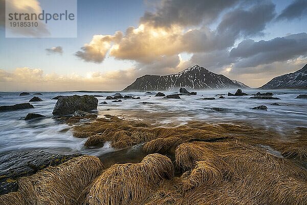 Küste beim Strand von Skagsanden  Flakstad  Lofoten  Norwegen  Europa