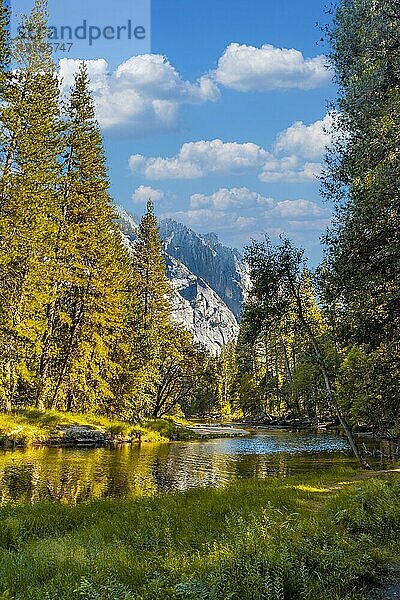 Schöner Spaziergang im Yosemite Tal. Kalifornien  Vereinigte Staaten