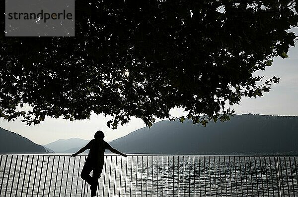 Frau in Silhouette Stehen unter einem schönen Baum mit Zweig am Ufer mit Geländer zum Luganer See mit Berg in einem sonnigen Sommertag in Bissone  Tessin  Schweiz  Europa