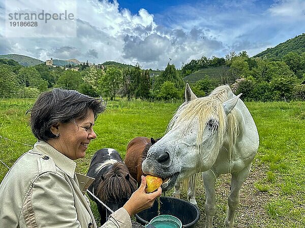 Glückliche Frau  die einem weißen Pferd in der Schweiz einen Apfel in die Hand drückt