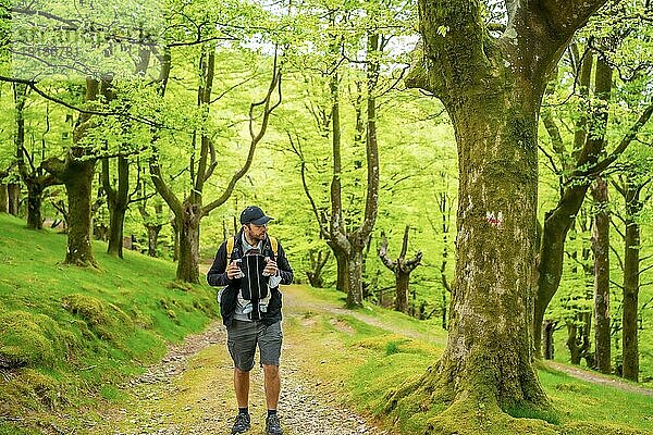 Ein junger Vater mit einem gelben Rucksack zu Fuß mit dem neugeborenen Kind in den Rucksack auf einem Weg in den Wald auf dem Weg zum Picknick mit der Familie