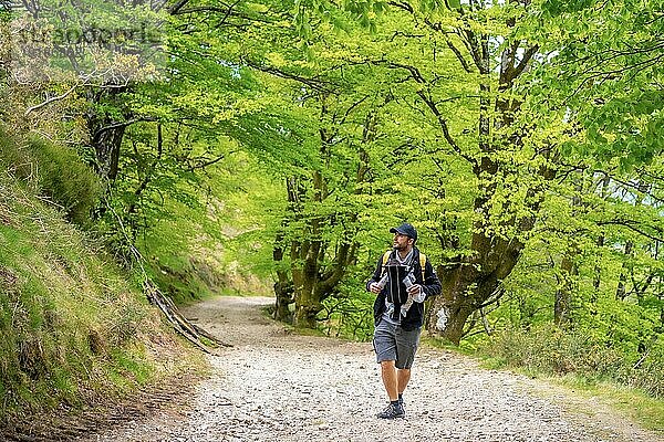 Ein junger Vater mit dem neugeborenen Kind im Rucksack auf einem Pfad im Wald auf dem Weg zum Picknick mit der Familie