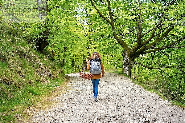 Eine junge kaukasische Brünette geht mit einem Korb auf dem Weg zum Picknick mit ihrer Familie einen Weg entlang