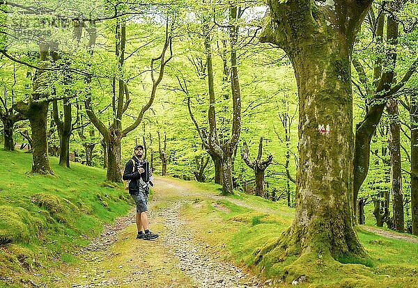 Ein junger Vater mit einem gelben Rucksack zu Fuß mit dem neugeborenen Kind in den Rucksack auf einem Weg in den Wald auf dem Weg zum Picknick mit der Familie