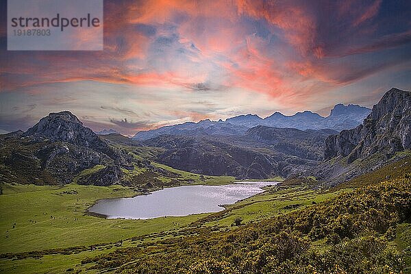 Der schöne See von Covadonga in Asturien  ein schöner Sonnenuntergang im Frühling  Picos de Europa. Spanien