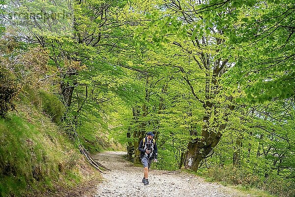 Ein junger Vater mit dem neugeborenen Kind im Rucksack auf einem Pfad im Wald auf dem Weg zum Picknick mit der Familie