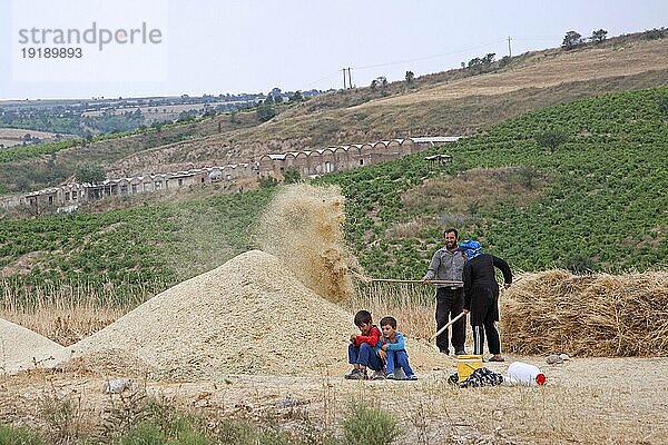 Landwirt mit Frau und Kindern bei der Getreideernte im Iran