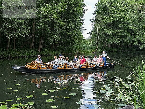 Kahnfahrt im Spreewald  Personen  Gruppe  Familie  Spree Fluss  Brandenburg  Deutschland  Europa