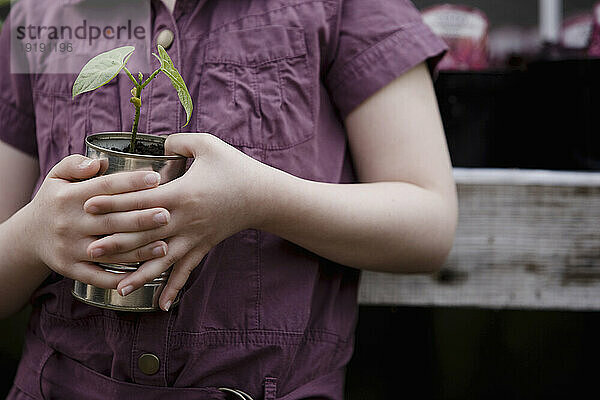 Nahaufnahme von jungen Mädchenhänden  die eine Pflanze halten