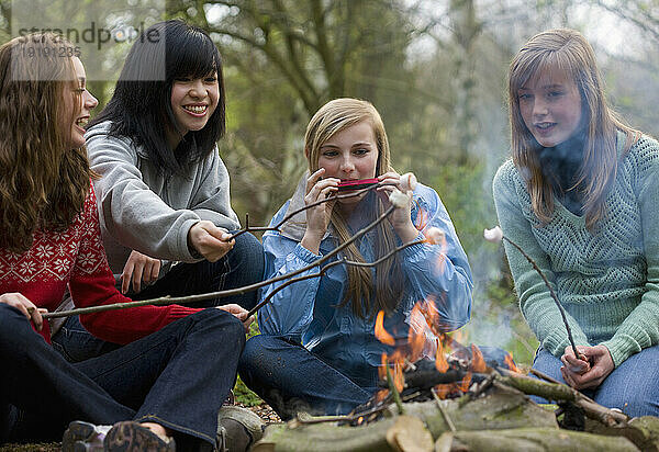 Teenager-Mädchen rösten Marshmallows am Lagerfeuer  eines spielt Mundharmonika