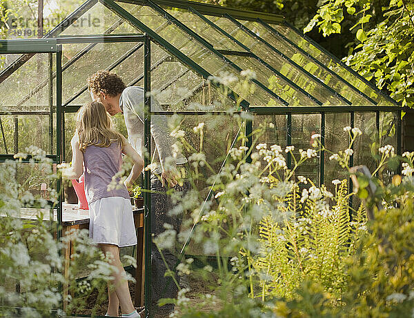 Rückansicht eines Mannes und eines jungen Mädchens  die Pflanzen in einem Gewächshaus pflegen