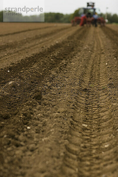 Landwirtschaftliches Feld mit Traktorreifenspuren