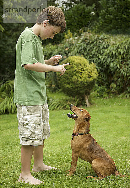 Young boy training his dog to sit
