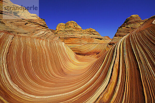 Vermilion Cliffs National Monument  Utah  USA