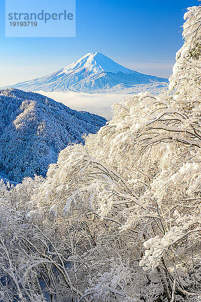 Trees covered in snow in Misaka Pass and Mount Fuji in Yamanashi Prefecture