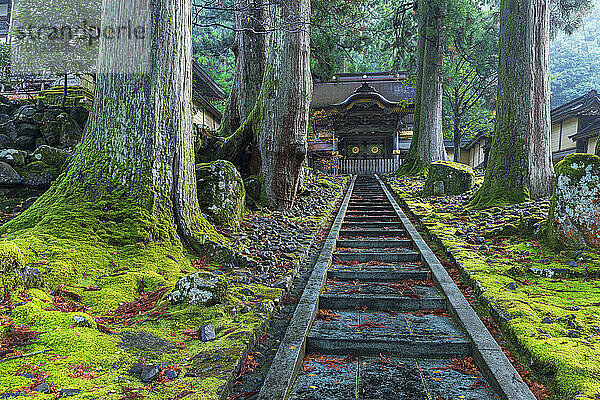 Tempel im Wald  Präfektur Fukui  Japan