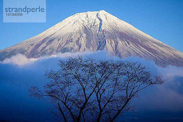 Berg Fuji und Wolkenmeer in der Präfektur Shizuoka