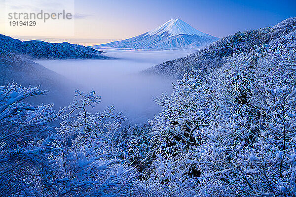 Snow scenery of Mount Fuji floating in the sea clouds in Yamanashi Prefecture