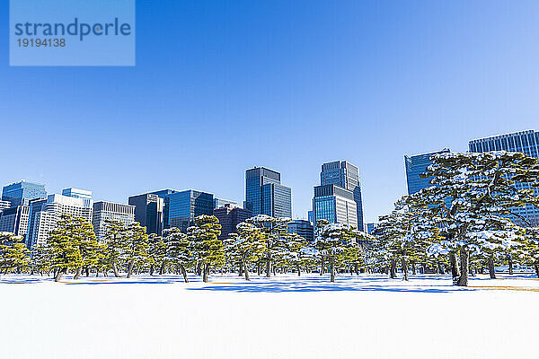 Schnee in Tokio in der Nähe des Kaiserpalastes  Japan
