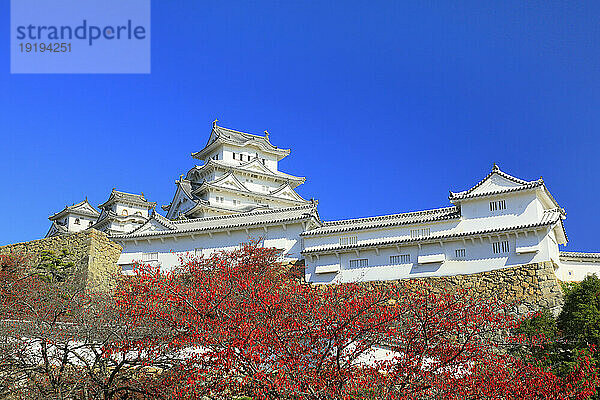 Himeji Castle in Hyogo Prefecture during autumn