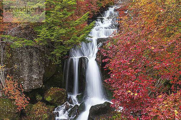Ryuzu-Wasserfälle im Herbst