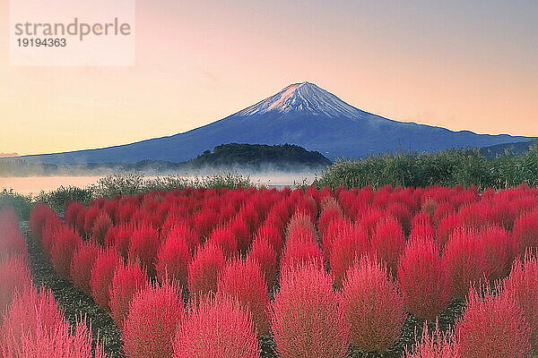 Schöne Aussicht auf den Berg Fuji  Präfektur Yamanashi  Japan