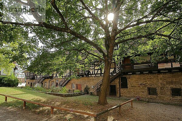 Fachwerkhaus Haberkasten im Gegenlicht mit Baum der ehemaligen Zisterzienserabtei  Hinterhof  UNESCO  Kloster  Maulbronn  Kraichgau  Baden-Württemberg  Deutschland  Europa