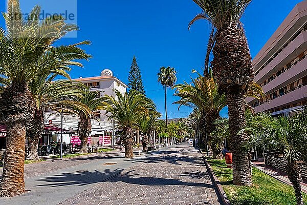 Promenade mit Palmen in Los Cristianos im Süden von Teneriffa  Kanarische Inseln