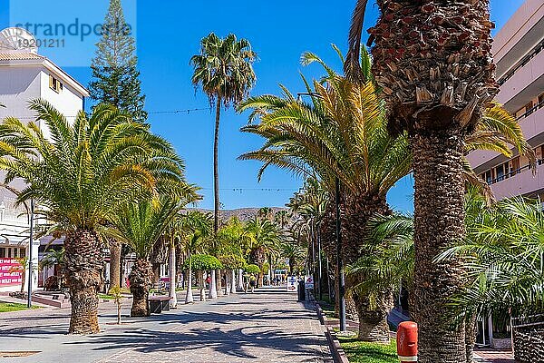 Schöne Promenade mit Palmen in Los Cristianos im Süden von Teneriffa  Kanarische Inseln