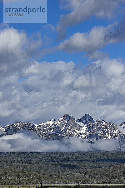 USA  Idaho  Stanley  Nebel über dem Wald bei Sawtooth Mountains