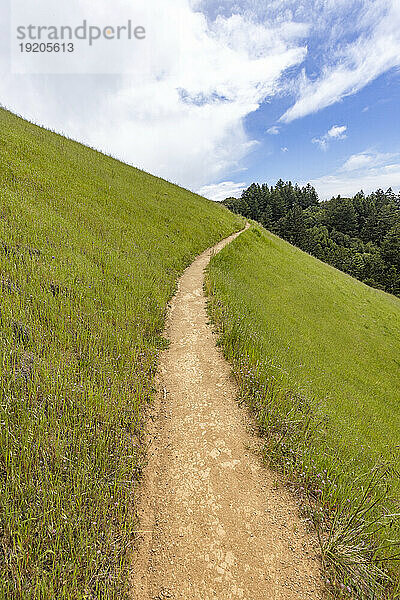 Wanderweg vom Stinson Beach über den Hügel