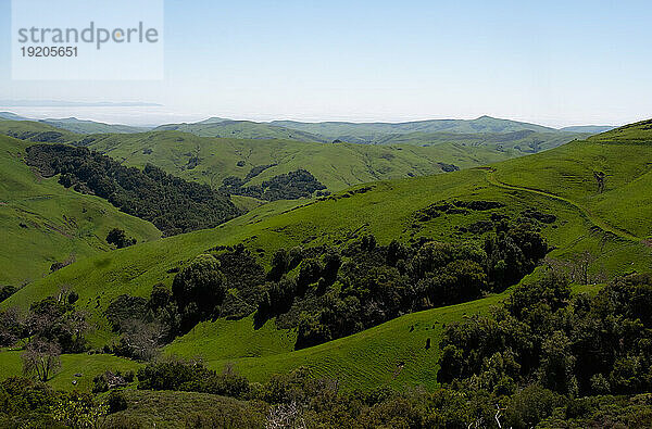 USA  Kalifornien  San Luis Obispo  sanfte grüne Landschaft mit klarem Himmel darüber