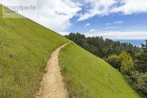 Wanderweg vom Stinson Beach über den Hügel