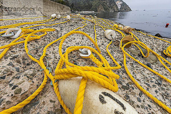 USA  Kalifornien  Catalina Island  Avalon  Seeseil und Bojen an der Meeresküste