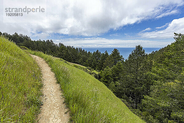 Wanderweg vom Stinson Beach über den Hügel