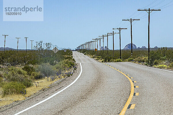 USA  Kalifornien  Barstow  Mojave National Preserve  leere Autobahn und Strommasten in der Wüste